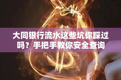 大同银行流水这些坑你踩过吗？手把手教你安全查询