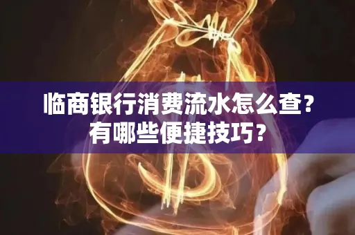 临商银行消费流水怎么查？有哪些便捷技巧？