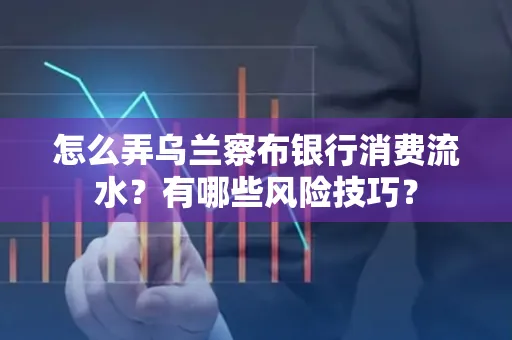 怎么弄乌兰察布银行消费流水？有哪些风险技巧？