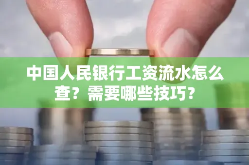 中国人民银行工资流水怎么查？需要哪些技巧？