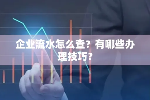 企业流水怎么查？有哪些办理技巧？