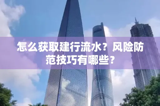 怎么获取建行流水？风险防范技巧有哪些？