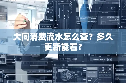 大同消费流水怎么查？多久更新能看？
