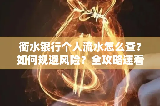 衡水银行个人流水怎么查？如何规避风险？全攻略速看